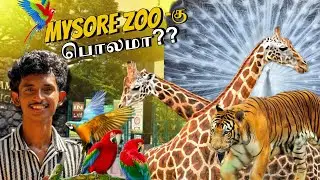 MYSORE ZOO laஎப்டி இருக்கு-னு பாக்கலாம் வாங்க| MYSORE SERIES EPI-2| Mandy vlogs