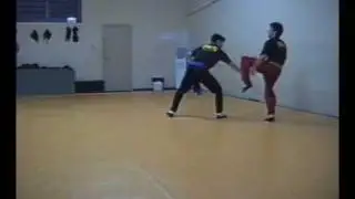 Kung Fu com Mestre Gomes Neto - ano 2000 Defesa Pessoal Kung Fu