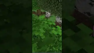 Minecraft action #funny #comedy #gaming #shortvideos #comedyvideos