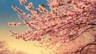 The Art of Letting Go 🎧 | Sad Lo-Fi for Healing