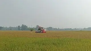 nel#aruvadai#shortvideo vivasayam is live#video#