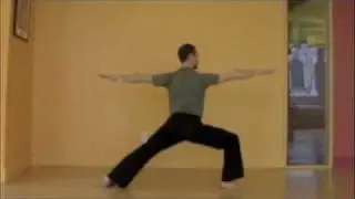 Balancing Half Moon and Bird of Paradise in Sequence