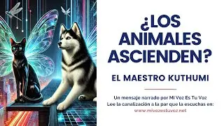 ¿LOS ANIMALES ASCIENDEN? | Una canalización del maestro Kuthumi