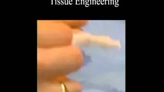 Bio-medical Applications of Polymers
