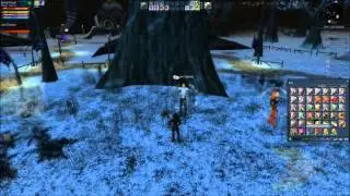 Ryzom: Episode 18, Plant Allies + Update