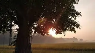 Explore Sidoarjo 2020