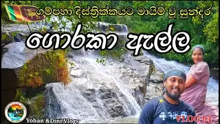 🌊වෙනස් වෙලා තියෙන ගොරකා ඇල්ලට යමු!🌿💦Goraka ella | Sri Lanka |  Yohan & DinI Vlog | VLOG 04
