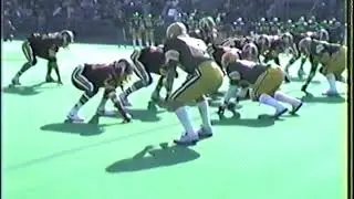 Farrell vs New Dorp 1984