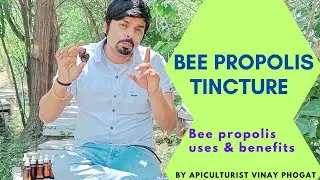बी प्रपोलिस टिंक्चर Bee propolis tincture benefits/ Bee propolis benefits #propolis #propolisextract