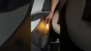 How to Open Tesla Rear Door Manually (it&rsquo;s harder than it looks!)