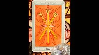 Evening Reading (Single Card) - The Third Wand, Virtue #tarot #night #shaman #thoth #wands #virtue