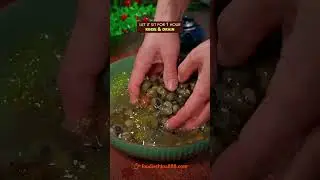EASY STIR-FRIED RIVER SNAILS RECIPE #recipe #cooking #chinesefood #snail #shellfish #mysterysnail