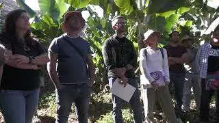 Crónica del Campo 23.12.25 | Mírame TV Canarias