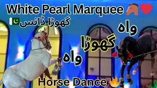 Bablu & Salar Horse Dance 2025 💞 | Event at White Pearl Marquee |🐴🔥#horse #horsedance #pakistan 