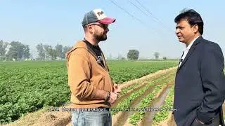 How many potatoes does India actually produce?