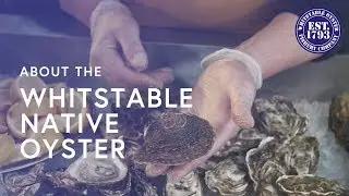 The Whitstable Native Oyster