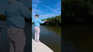 Is this the WORST part of live bait fishing? #floridafishing #livebaitfishing #flatsfishing