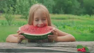 Fun Object Comparison for Kids!