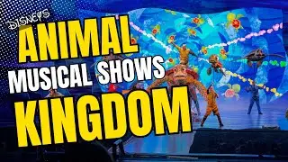 From Nemo to Simba - Disney's Animal Kingdom Has Some Amazing Shows! | Make Sure to Check Them Out