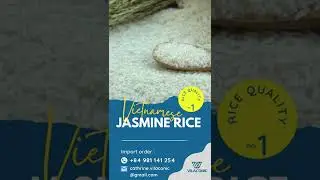 Competitive Price I Import Jasmine Rice From Vietnam
