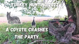 Turkey Hunting 2022 (Coyote Crashes The Party)