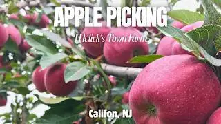 APPLE PICKING AT MELICK&rsquo;S FARM || CALIFON- NJ
