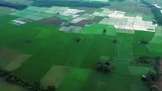 4K Drone Aerial Views Croplands India Agriculture Paddy Cultivation India