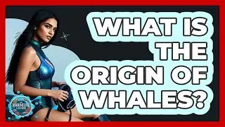 What Is The Origin Of Whales? - The Marine Life Explorer