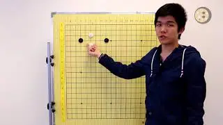 Common Star-Point Joseki for 19-10 Kyu Players