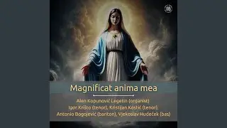 K suncu prosi vsaka roža