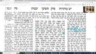 Daf Yomi made easy Yevamos Daf 85