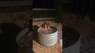 5 min ice bath deep meditation 