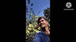 Mandideep vlogs. Injoy your blog🌍☺️...#minivlog #explore #viralvideo #bhopalbloggers #vlogging 