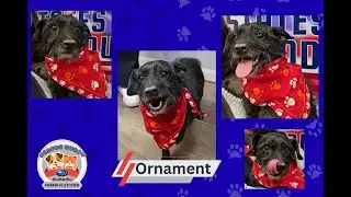 Ornament Rescue Buddy 1.16.26