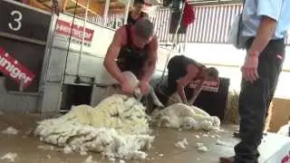 Deutsche Schurmeisterschaft in Jüterbog 2015