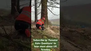 Subscribe to Forester Asks Questions to hear from people in UK #forestry #careers #timberharvesting