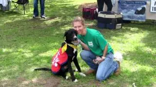 Just Volunteer... at the Animal Shelter!
