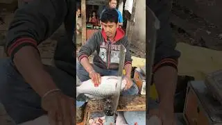 Katla Fish cutting kalkata #fish #fishcooking #fishcutting #shortsfeed #fishpreparation #streetfood