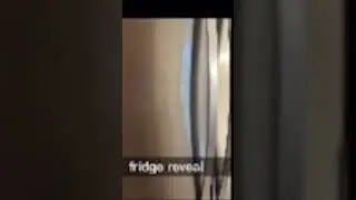 Fridge reveal