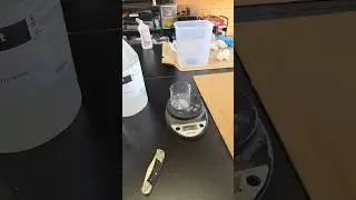 Casting a cat skull mask out of resin from a silicone mold.