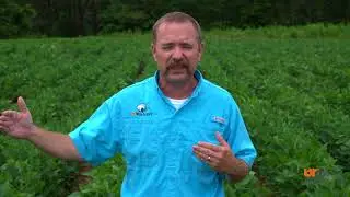 Alternative Follow Up Applications for Dicamba