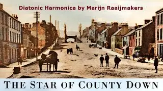 Star Of The County Down (Sl&aacute;inte) on Harmonica