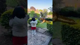 Omg 😳 #shorts #tiktok #london #uk #snakedragon #snake #dragon #explore #diy #tutorial