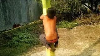 Climbing on Banana tree Challenge