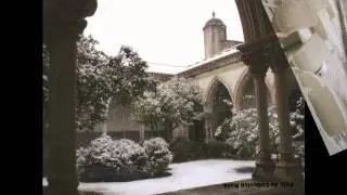 Neve em Tomar