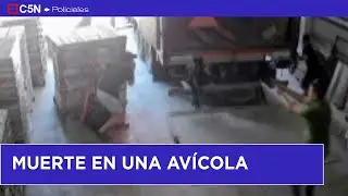 Intento de ROBO y MUERTE en una av&iacute;cola de MATADEROS