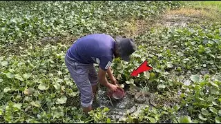 Hidden Treasure Found Inside an Secret Place