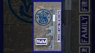 The Smith & Wesson Response  is a groundbreaking 9mm rifle.