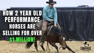 How To Sell a Two Year Old Performance Horse For $1 Million