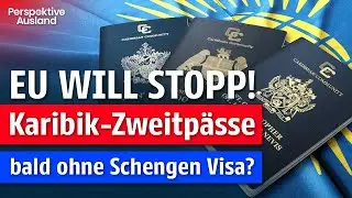EU vs. Zweitpass: Geheime Pl&auml;ne aufgedeckt! Welches CBI-Programm &uuml;berlebt?